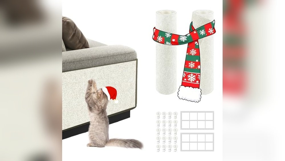 What Couch Fabric is Best for Cats