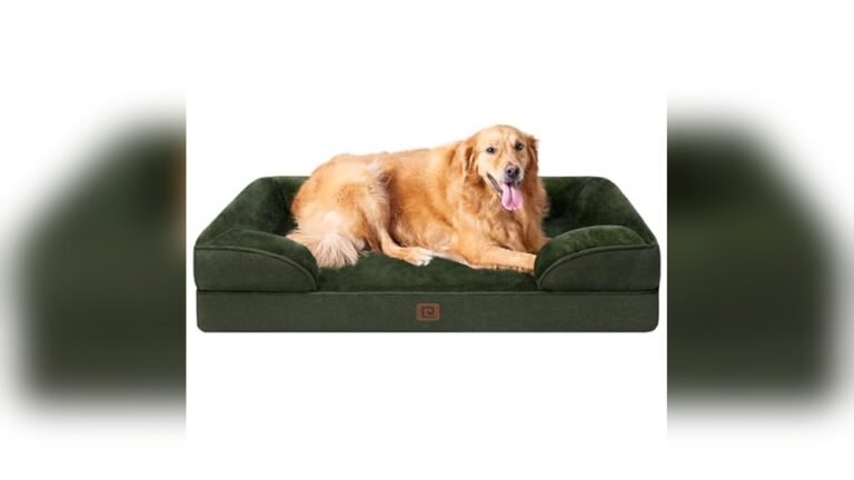 What is the Best Couch for Dogs