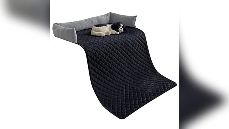 What is the Best Couch Material for Dog Hair