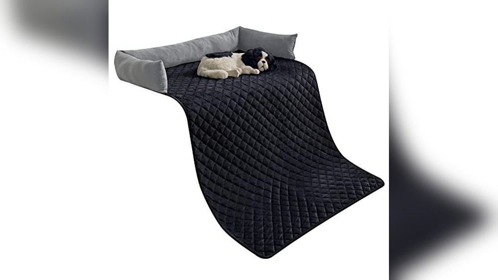 What is the Best Couch Material for Dog Hair