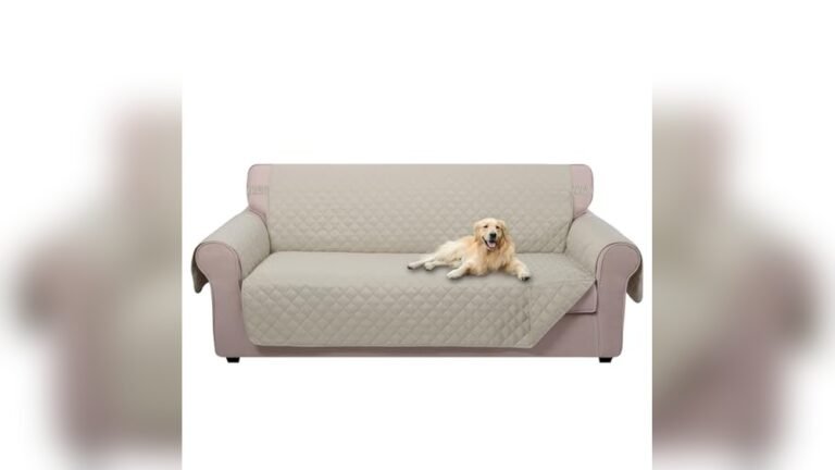 What is the Best Fabric for Sofas With Dogs