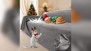 What is the Best Material for a Sofa With Cats