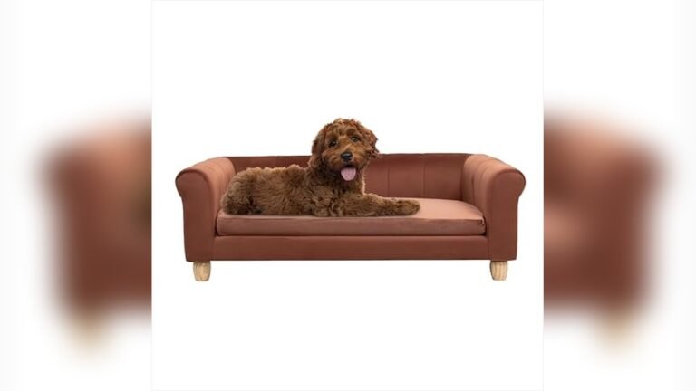 What is the Best Sofa for Dogs