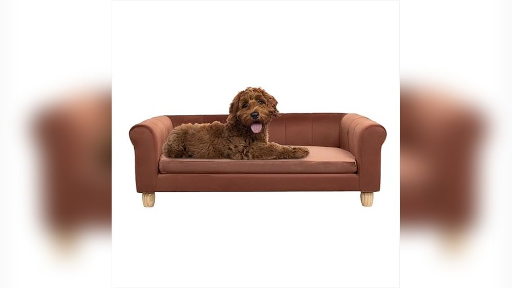 What is the Best Sofa for Dogs