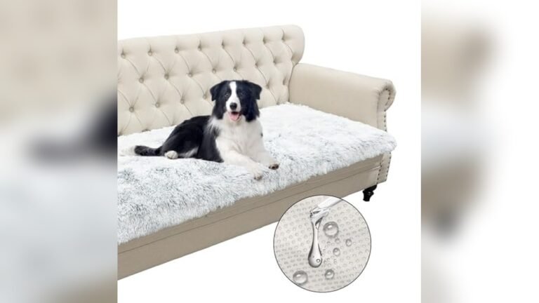 What is the Best Type of Couch for Dogs