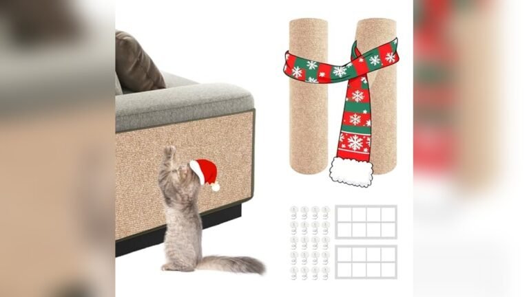 What Material Couch is Best for Cats