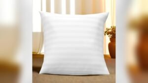 What Type of Couch is Best for Your Back