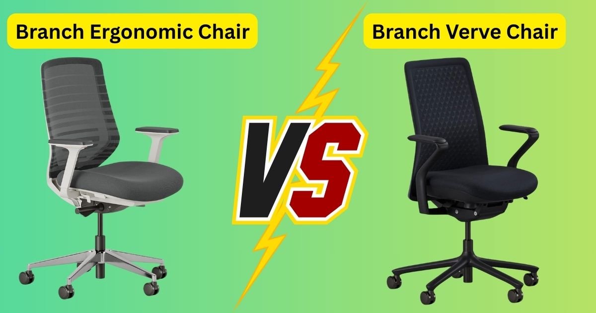 Branch Ergonomic Chair vs Verve: Daily Use Insights