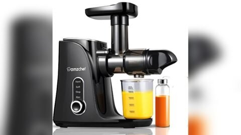 5 Best Cold Press Juicer for Small Business