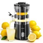 5 Best Electric Juicer for Pomegranate: Top Picks for Easy Juicing