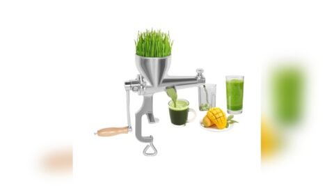 5 Best Electric Juicer for Wheatgrass