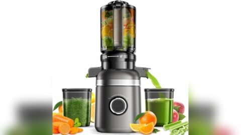 5 Best Juicer for Cabbage