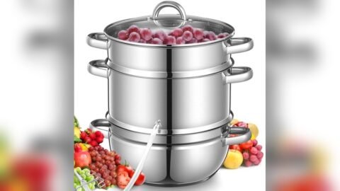 5 Best Juicer for Canning