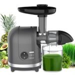 5 Best Juicer for Carrots And Celery: Top Picks for Fresh Juice