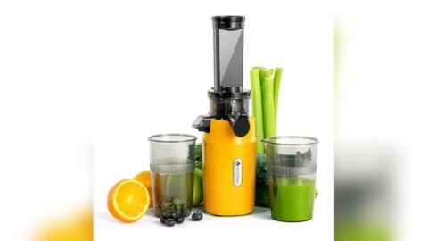 5 Best Juicer for Celery Easy to Clean
