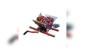 5 Best Juicer for Grapes