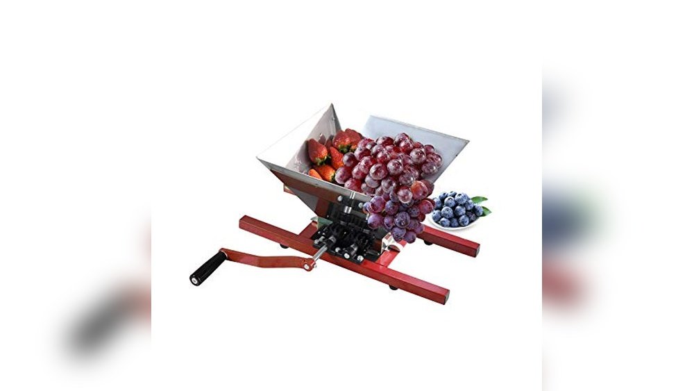 5 Best Juicer for Grapes