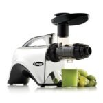 5 Best Omega Juicer Reviews for Healthy and Nutritious Juicing