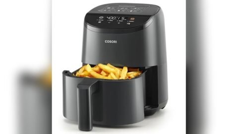 Best Air Fryer for Camper