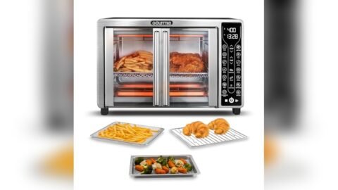 Best Air Fryer for Frozen French Fries