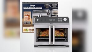 Best Air Fryer for Homemade French Fries