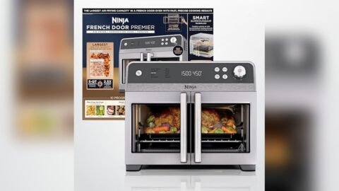 Best Air Fryer for Homemade French Fries