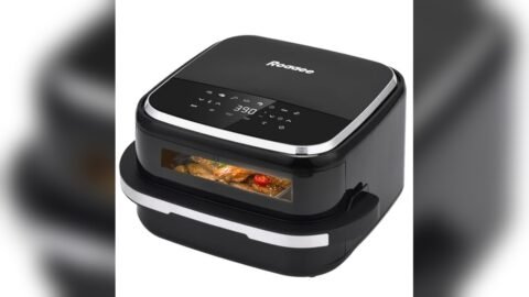 Best Air Fryer for Pizza