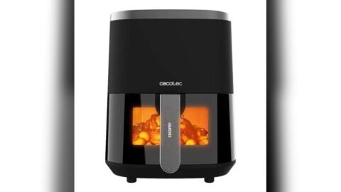 Best Air Fryer Settings for Fries