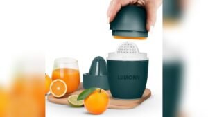 Best Citrus Hand Juicer