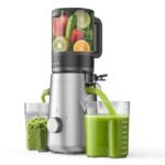 Best Cold Press Juicer for Beginners: Top Easy-to-Use Models Reviewed