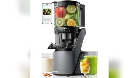 Best Cold Press Juicer for Commercial Use