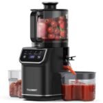 Best Cold Press Slow Juicer 2020 for Nut Milk and Whole Fruits