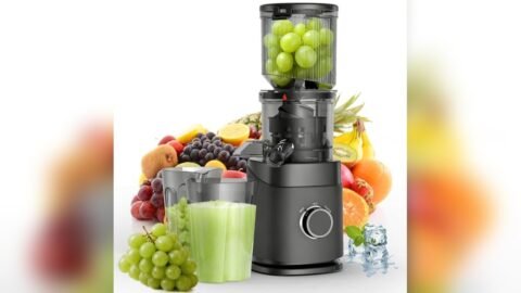 Best Commercial Juicer for Leafy Greens