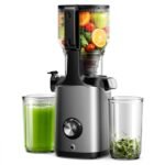 Best Company for Juicer: Top Picks for Efficient and Easy Juicing
