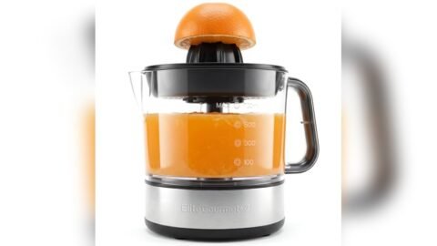 Best Electric Citrus Juicer