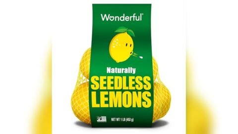 Best Fruits for Juicer