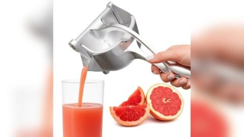 Best Hand Fruit Juicer