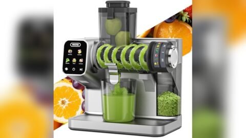 Best Horizontal Slow Juicer