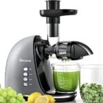 1. **Best Inexpensive Juicer for Celery 2026: Expert Picks & Reviews**  
2. Top Rated Budget Juicers for Celery in 2026: Ultimate Guide  
3. Reviewed & Ranked: Best Affordable Juicers for Celery 2026