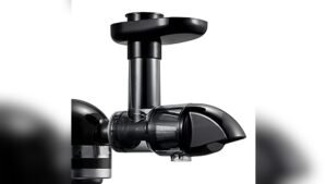 Best Juicer for Blackberries