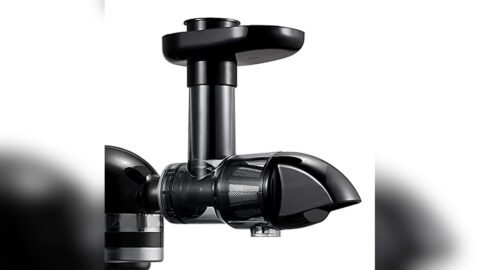 Best Juicer for Blackberries