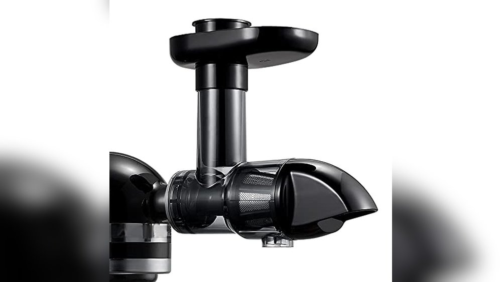 Best Juicer for Blackberries