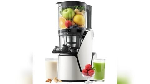 Best Juicer for Bulk Juicing