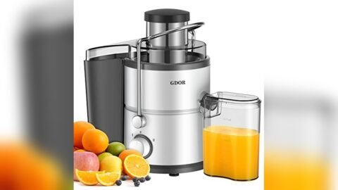 Best Juicer for Cheapest Price