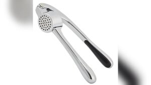 Best Juicer for Garlic And Ginger