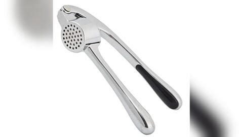 Best Juicer for Garlic And Ginger