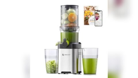 Best Juicer for Grapes With Seeds