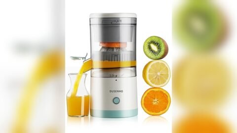 Best Juicer for Green Leaves