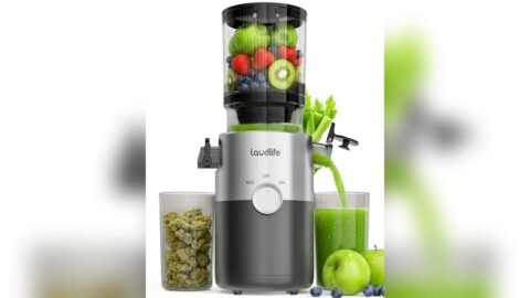 Best Juicer for Kale And Spinach