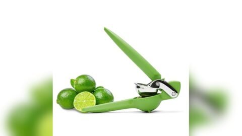 Best Juicer for Key Limes
